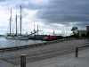 Toronto Shore