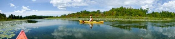 Paddling the Kagawong River
