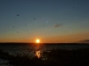 Sunset at Summerbloom Cottage, Mudge Bay