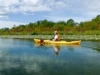 Paddling the Kagawong River