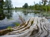 On the Kagawong River