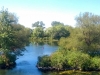 Toronto Islands