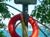 torontoisland-46-of-58