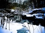 Winter Ravine Walk January 2012