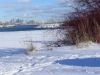 Toronto Winter 2011 (15 of 35)