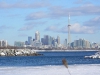 Toronto Winter 2011 (17 of 35)