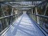 Winter Ravine Walk January 2012