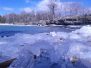 Winter Scenes