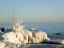 Winter Shores