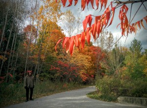 Fall colours at the Brickworks