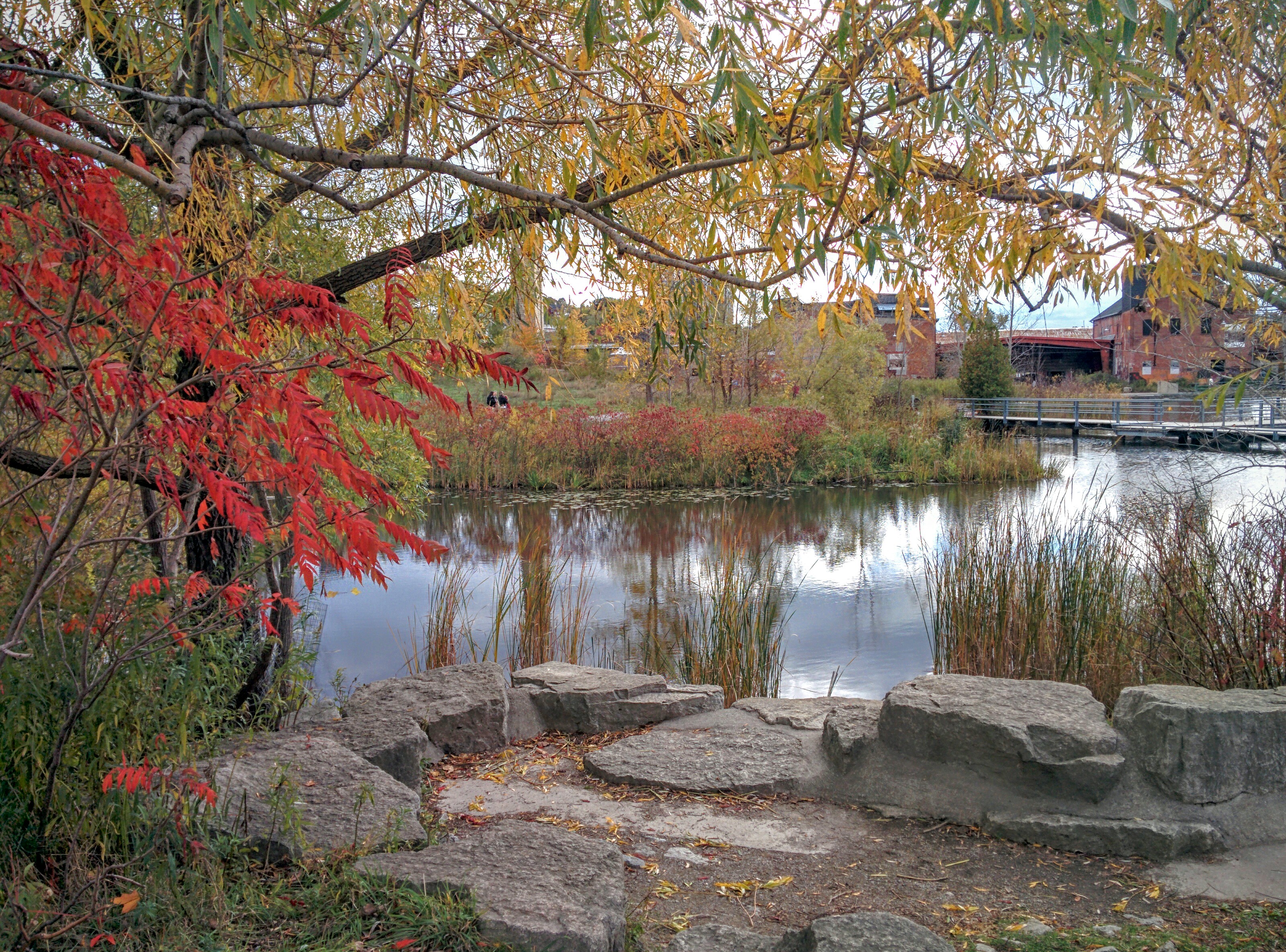 Fall colours at the Brickworks
