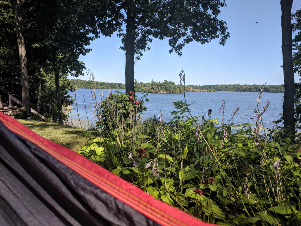 A hammock with a view