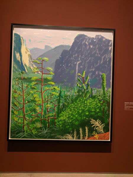 David Hockney's large Yosemite images created on an i-pad were fascinating