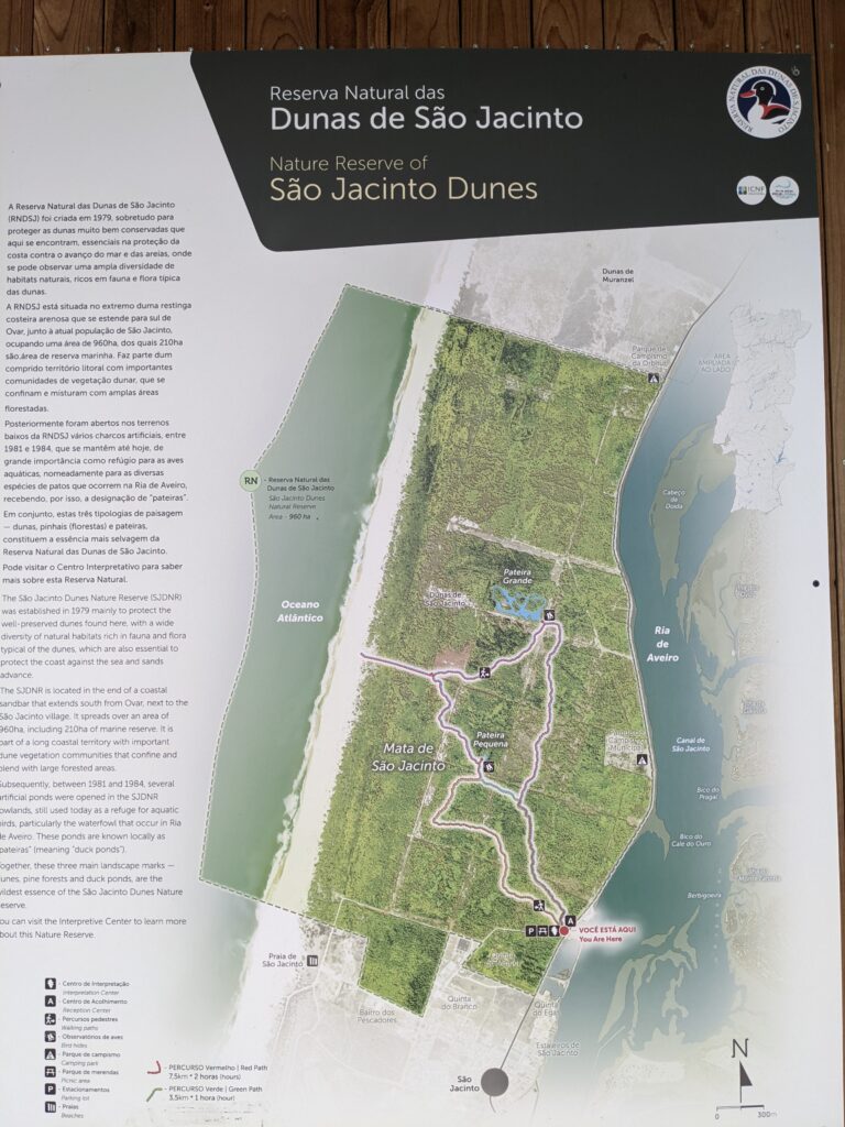 Sao Jacinto Dunes Nature Reserve